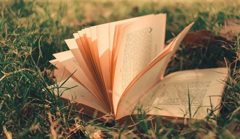 Libro abierto sobre el pasto