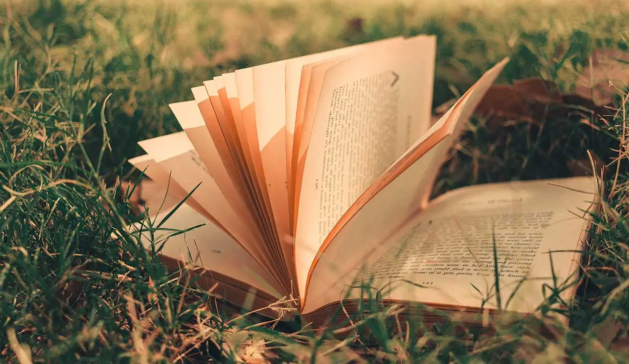 Libro abierto sobre el pasto